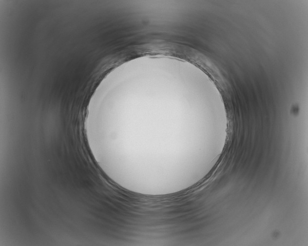 X0000116650333201001251202