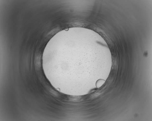 X0000116650334201001251202