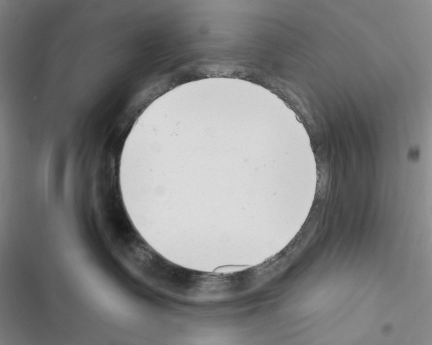 X0000116650335201001251202