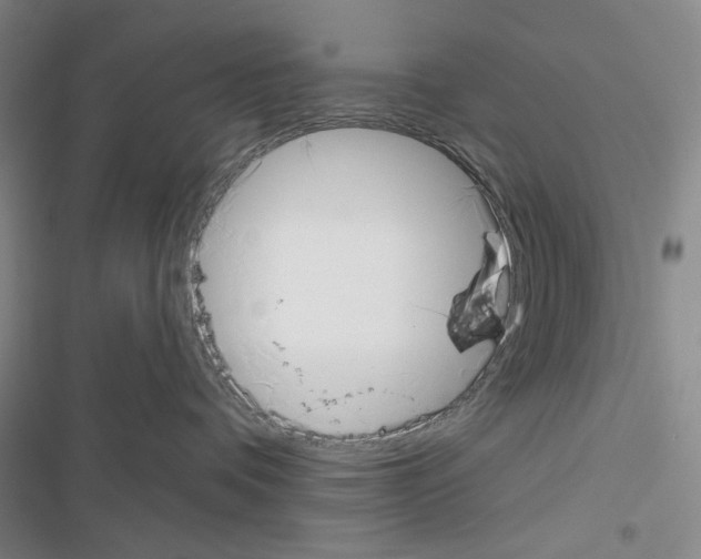X0000116650336201001251202