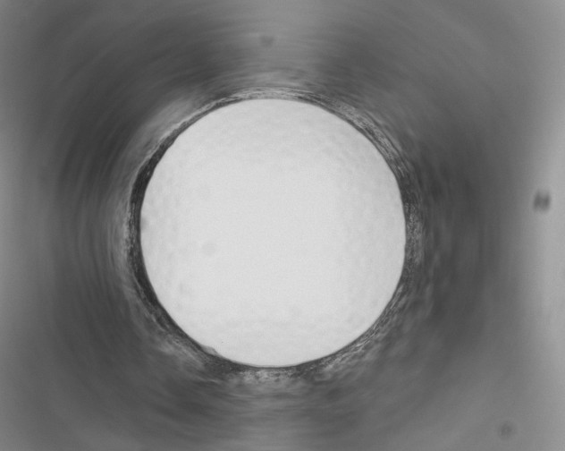 X0000116650338201001251201
