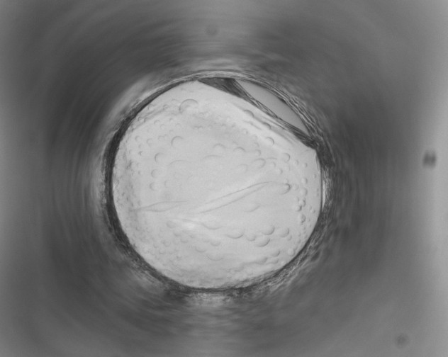 X0000116650339201001251201