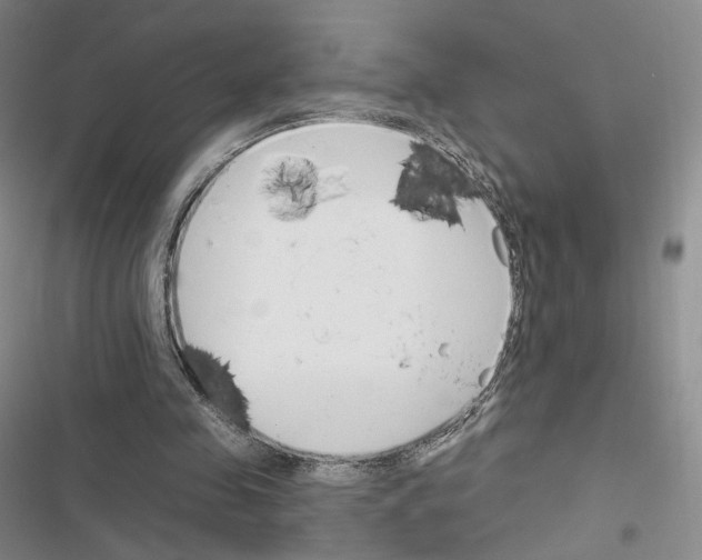 X0000116650341201001251201