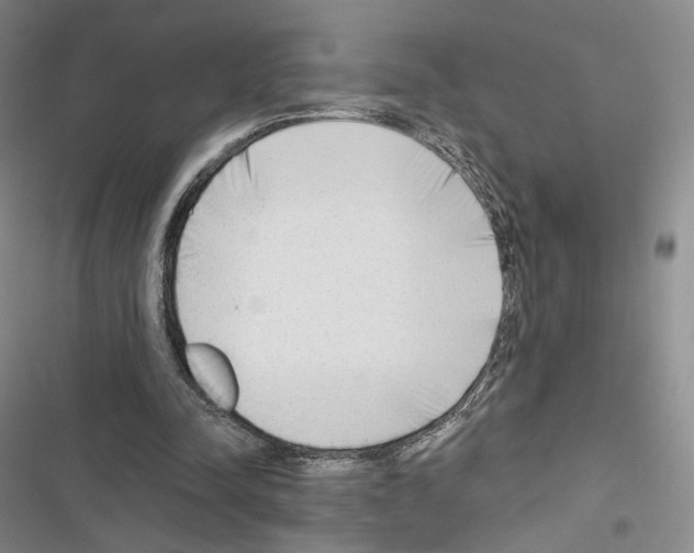 X0000116650342201001251201