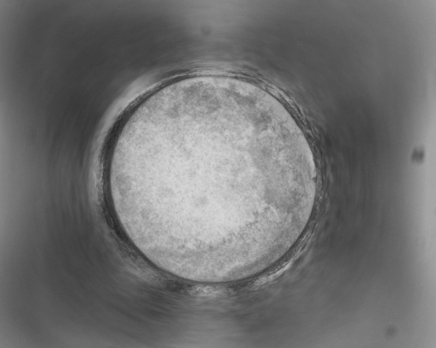 X0000116650343201001251201