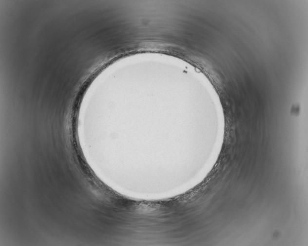X0000116650346201001251201