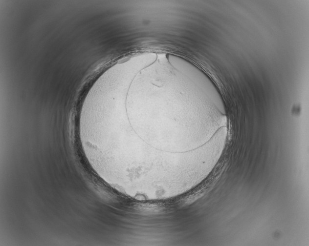 X0000116650349201001251201