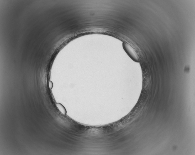 X0000116650350201001251201