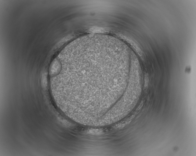 X0000116650353201001251201