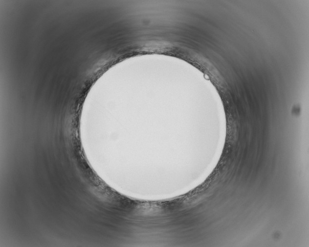 X0000116650354201001251201