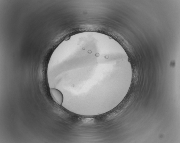 X0000116650355201001251201