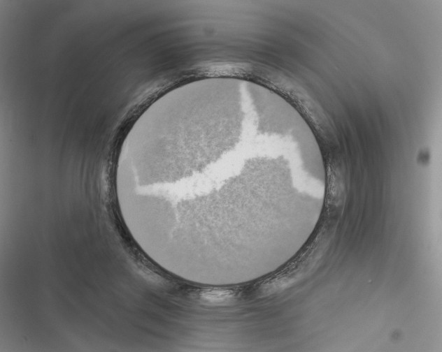 X0000116650357201001251202