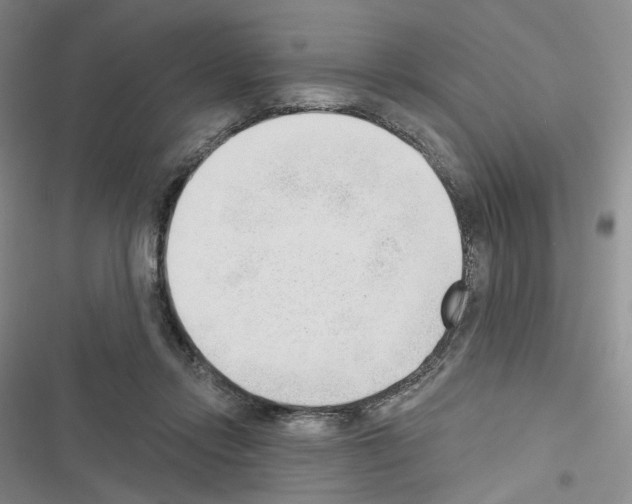 X0000116650358201001251202