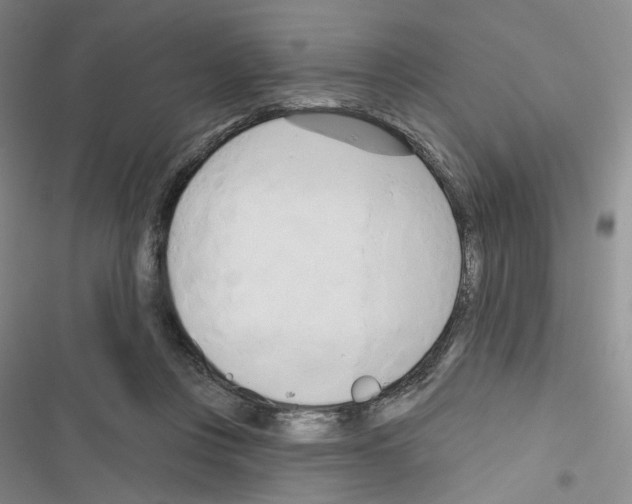 X0000116650359201001251202