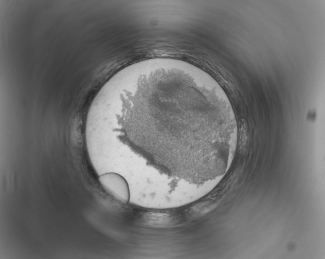 X0000116650361201001251202