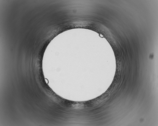 X0000116650362201001251202