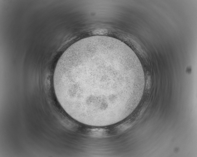 X0000116650363201001251202