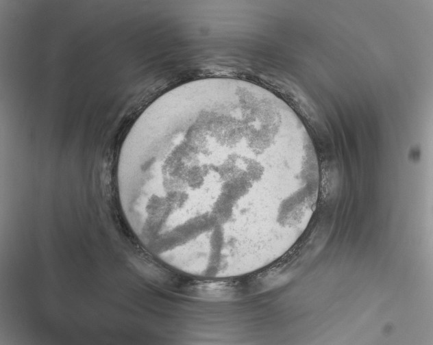 X0000116650365201001251202
