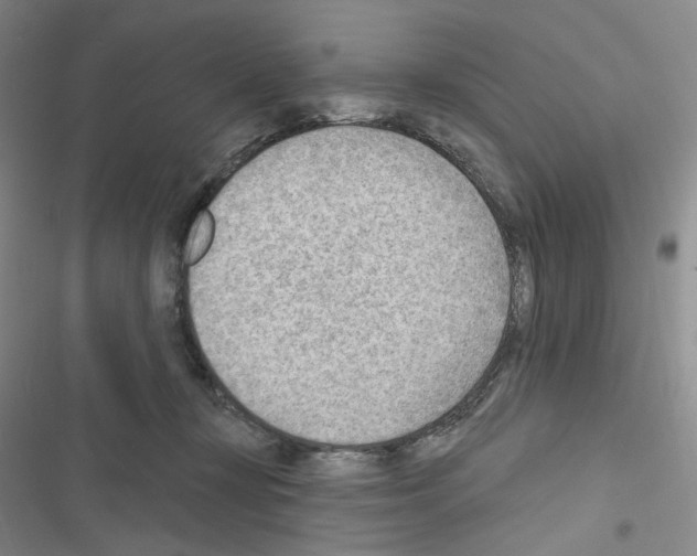 X0000116650367201001251202