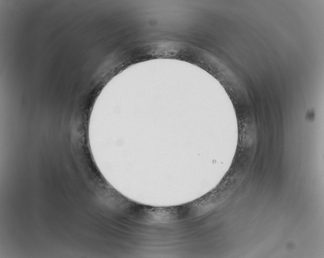 X0000116650370201001251202