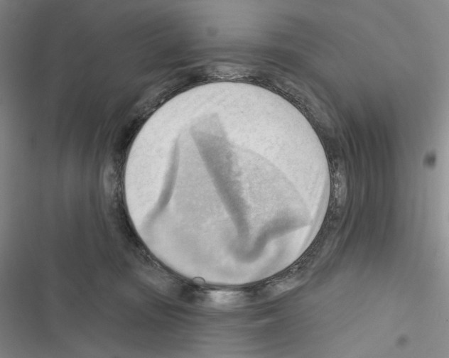 X0000116650371201001251202