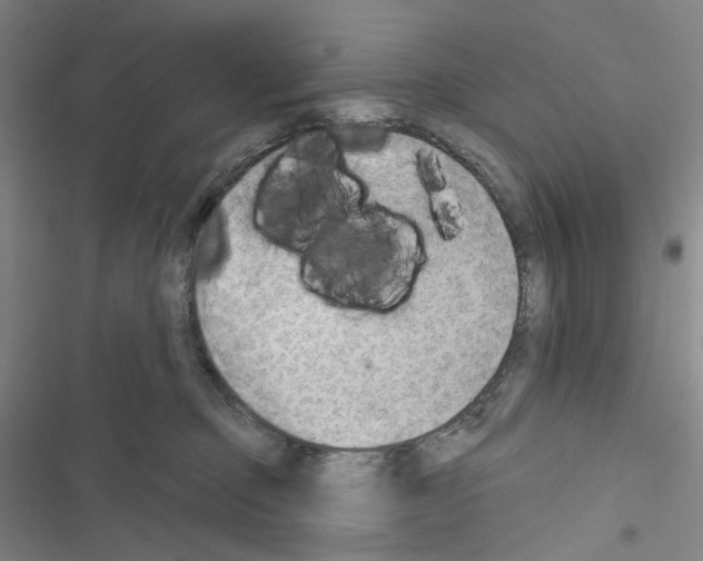 X0000116650373201001251202