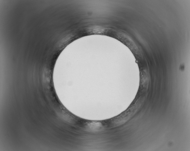 X0000116650374201001251202
