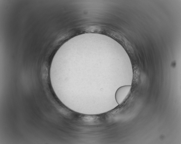 X0000116650375201001251202