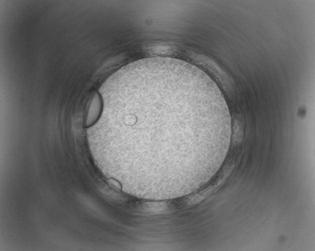 X0000116650377201001251202