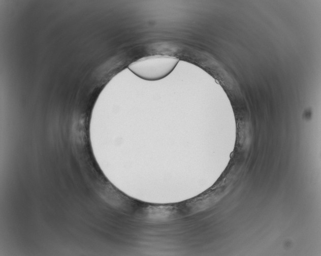 X0000116650378201001251202
