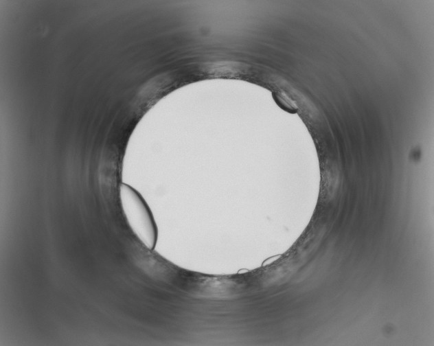 X0000116650379201001251202