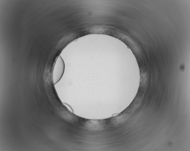 X0000116650381201001251202