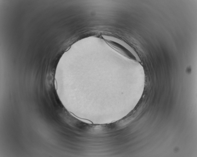 X0000116650382201001251202