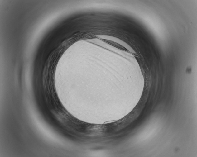 X0000116650383201001251202