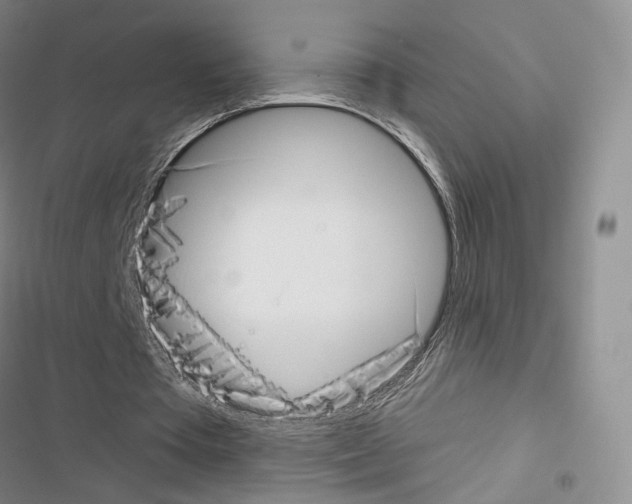 X0000116650385201001251201