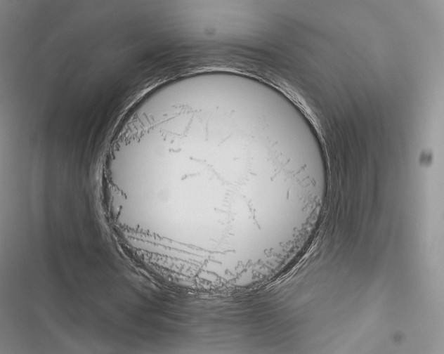 X0000116650386201001251201