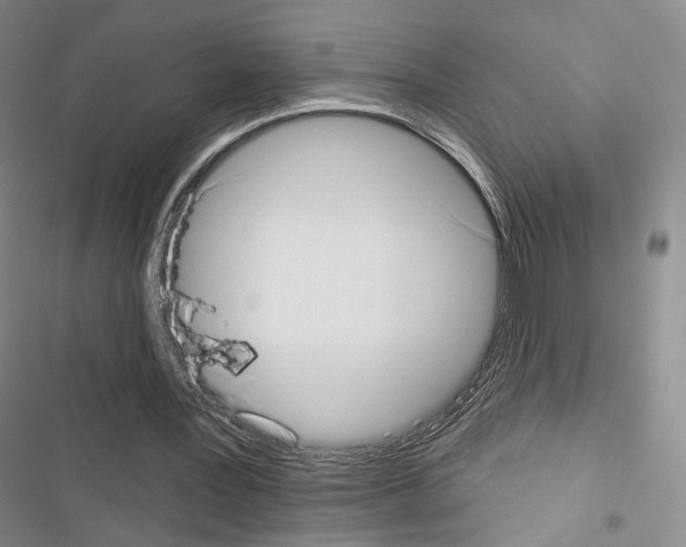 X0000116650387201001251201