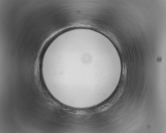 X0000116650388201001251201