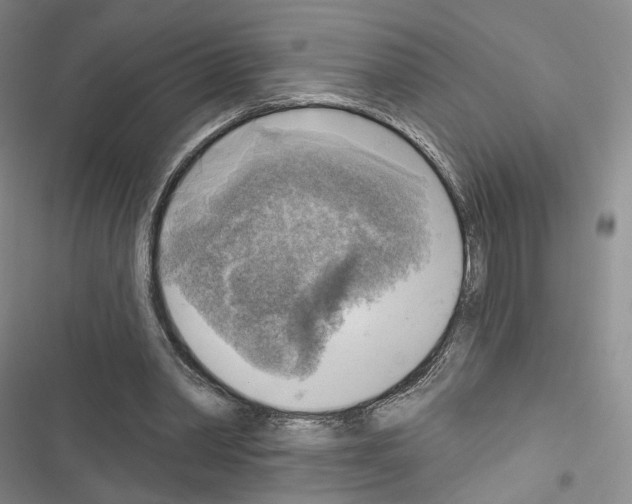 X0000116650390201001251201