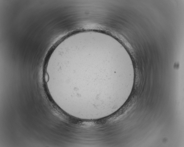 X0000116650391201001251201