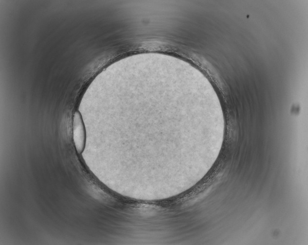 X0000116650393201001251201