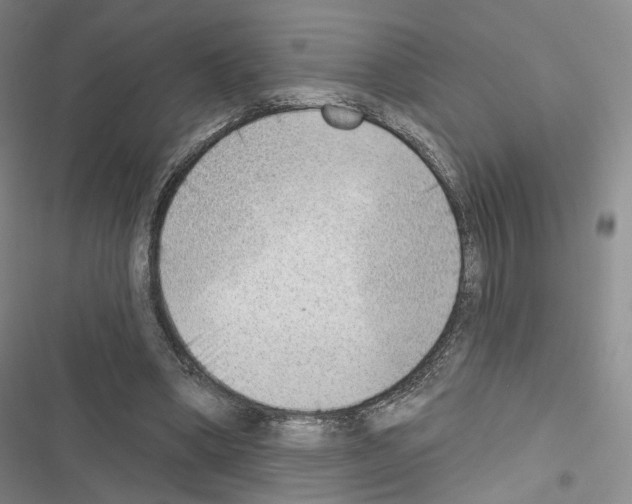 X0000116650394201001251201