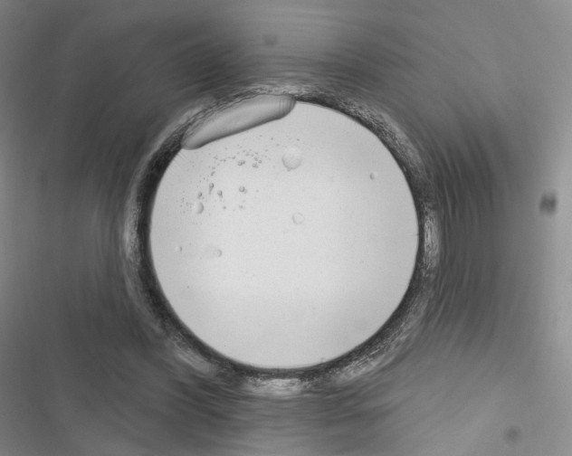 X0000116650396201001251201