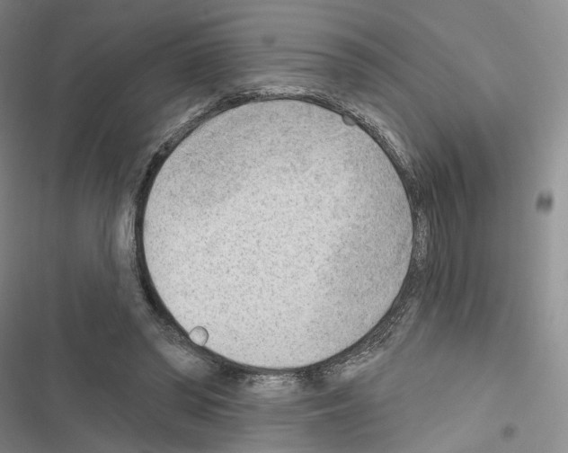 X0000116650398201001251201