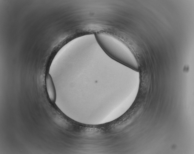 X0000116650399201001251201