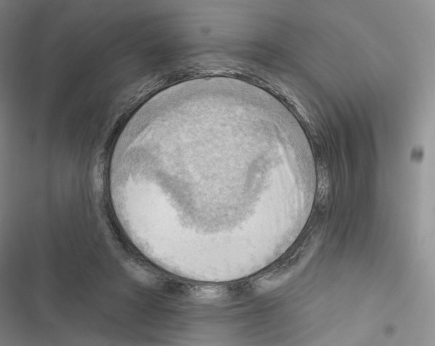 X0000116650402201001251201
