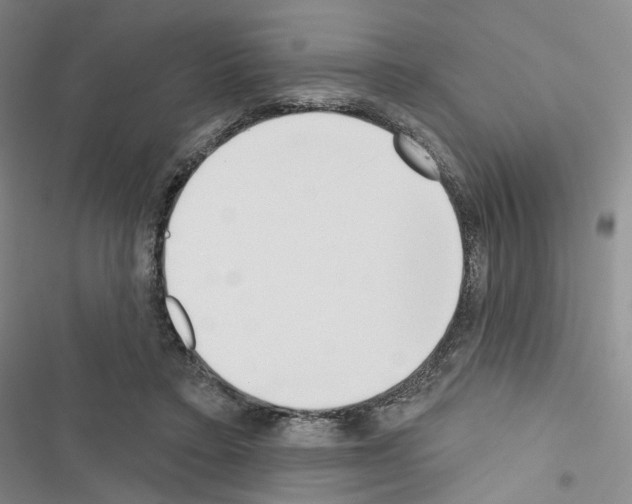 X0000116650403201001251201
