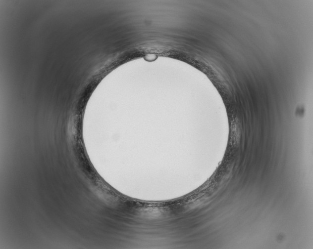 X0000116650404201001251201