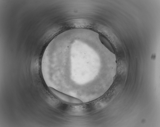 X0000116650405201001251201
