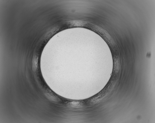 X0000116650406201001251201